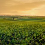 360_F_419952491_gbqKfi4SPq3U7BQlsDvWt0b087yWOPHv